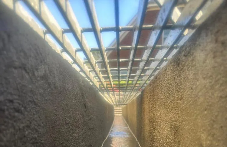 Drainage Services