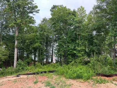 yard grading and leveling in Lexington SC