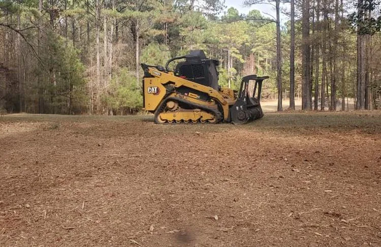 Land Clearing