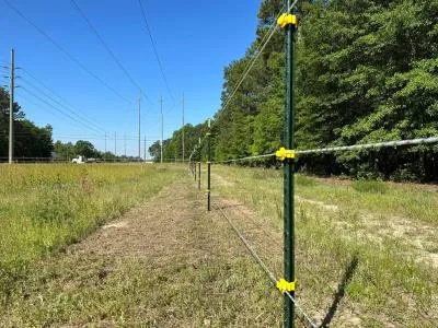 pasture management
