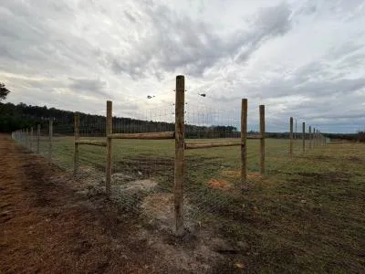 welded wire fencing